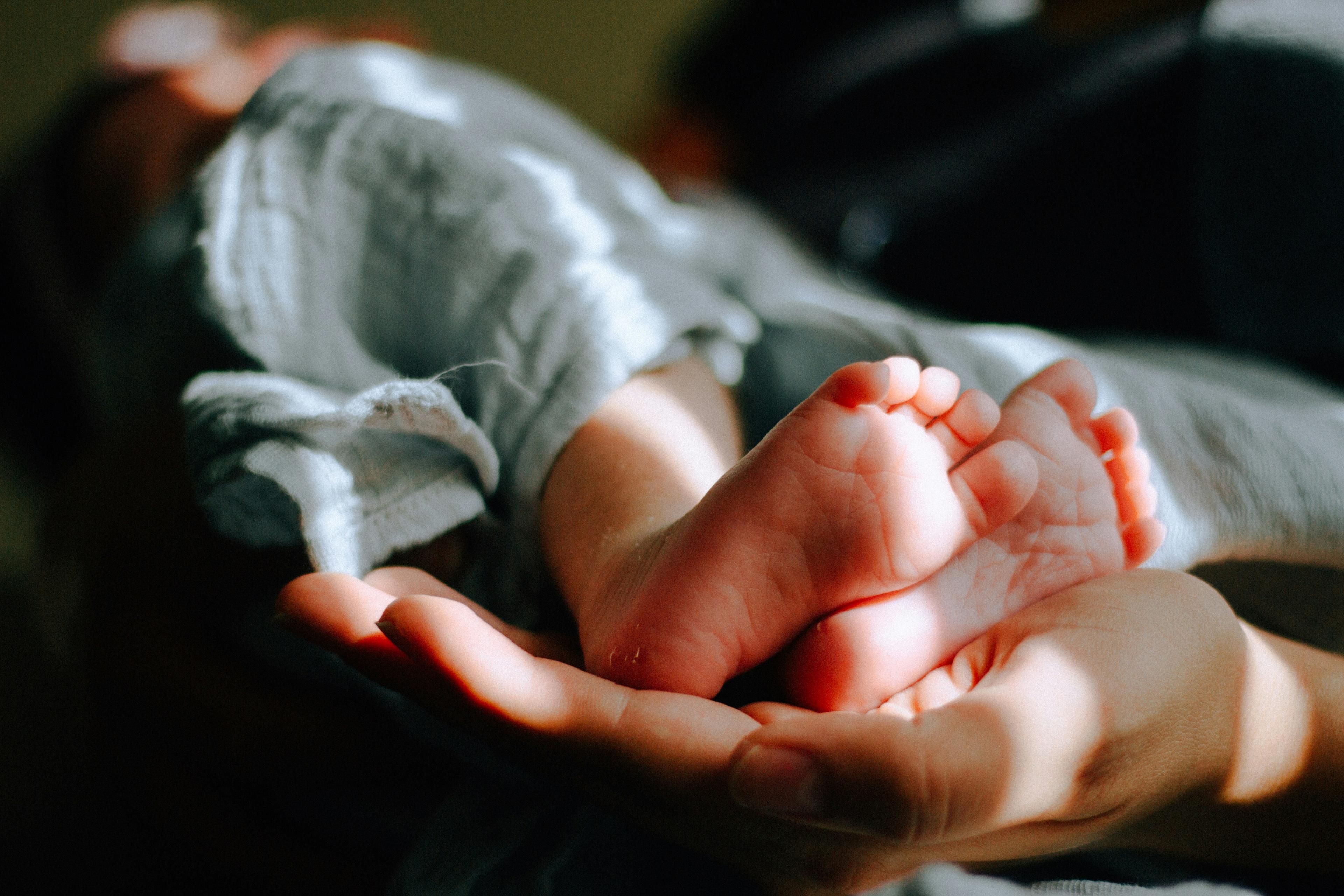 Newborn's bare feet resting in a parent's open hand